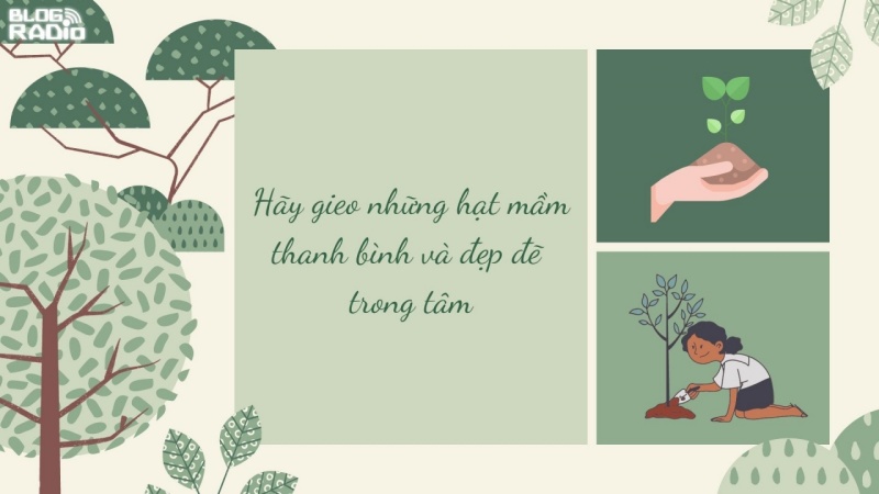 Hãy gieo những hạt mầm thanh bình và đẹp đẽ trong tâm