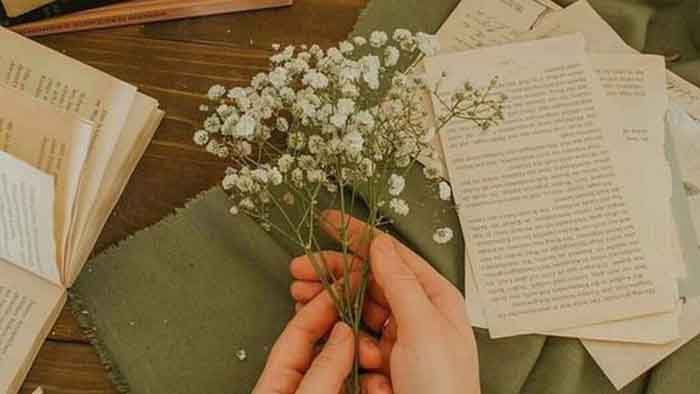 Tháng năm vẫn vậy, chỉ có lòng người đã đổi thay Tháng năm vẫn vậy, chỉ có lòng người đã đổi thay